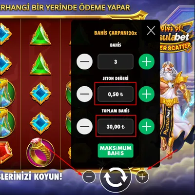 Bahis Miktarını Ayarlama