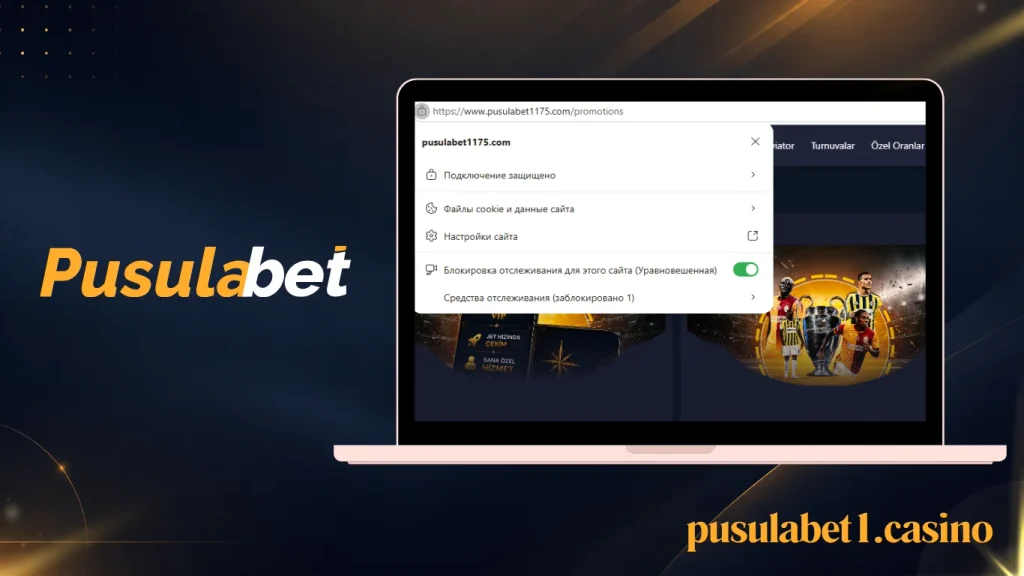 SSL/TLS Güvenlik Sertifikasını ve URL Yapısını Kontrol Edin